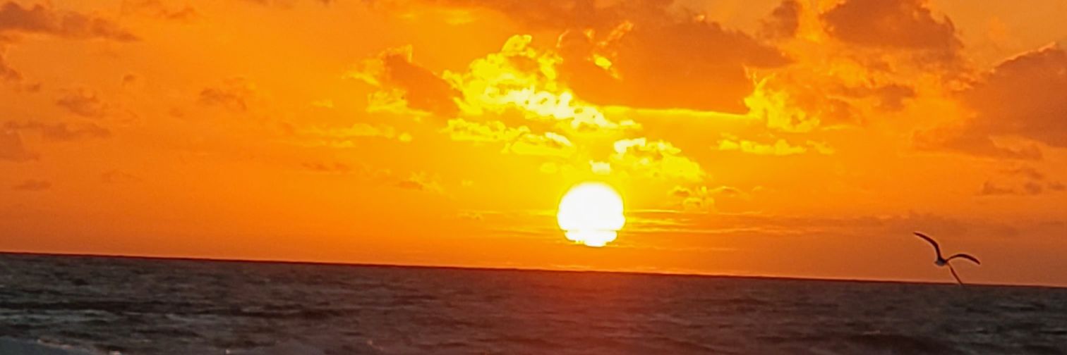 amberv344's profile banner image