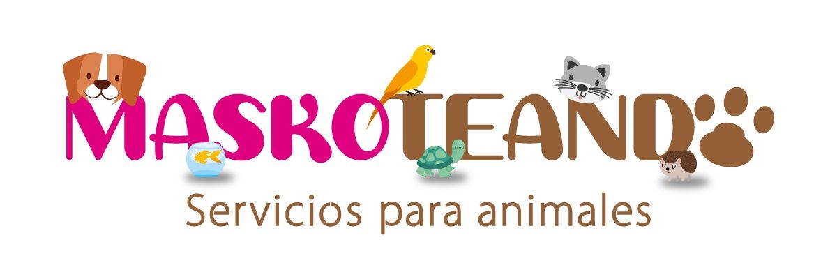 PameChuCastro's profile banner image
