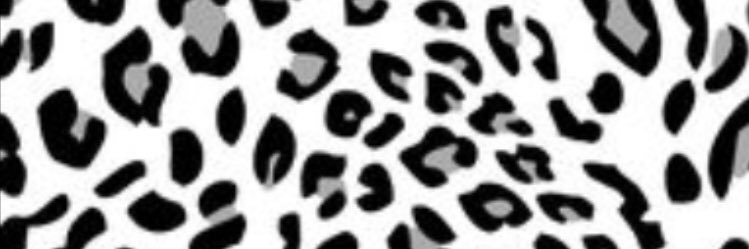 noelledawnn's profile banner image