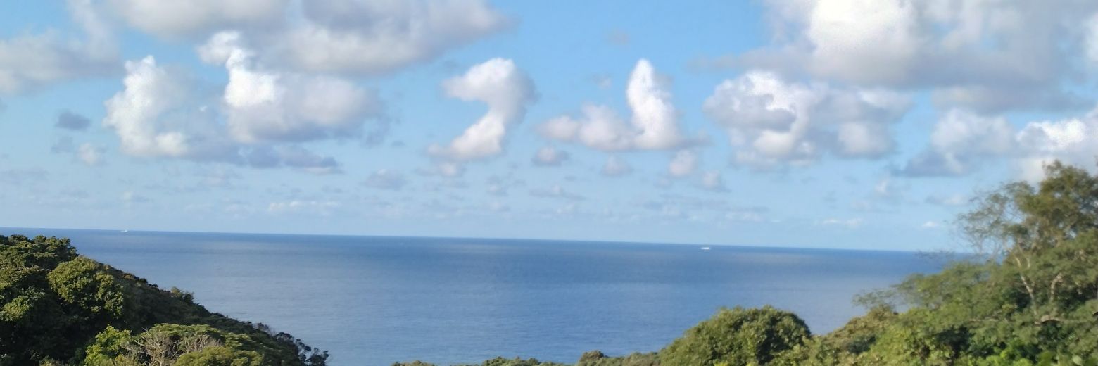 nikhepi's profile banner image
