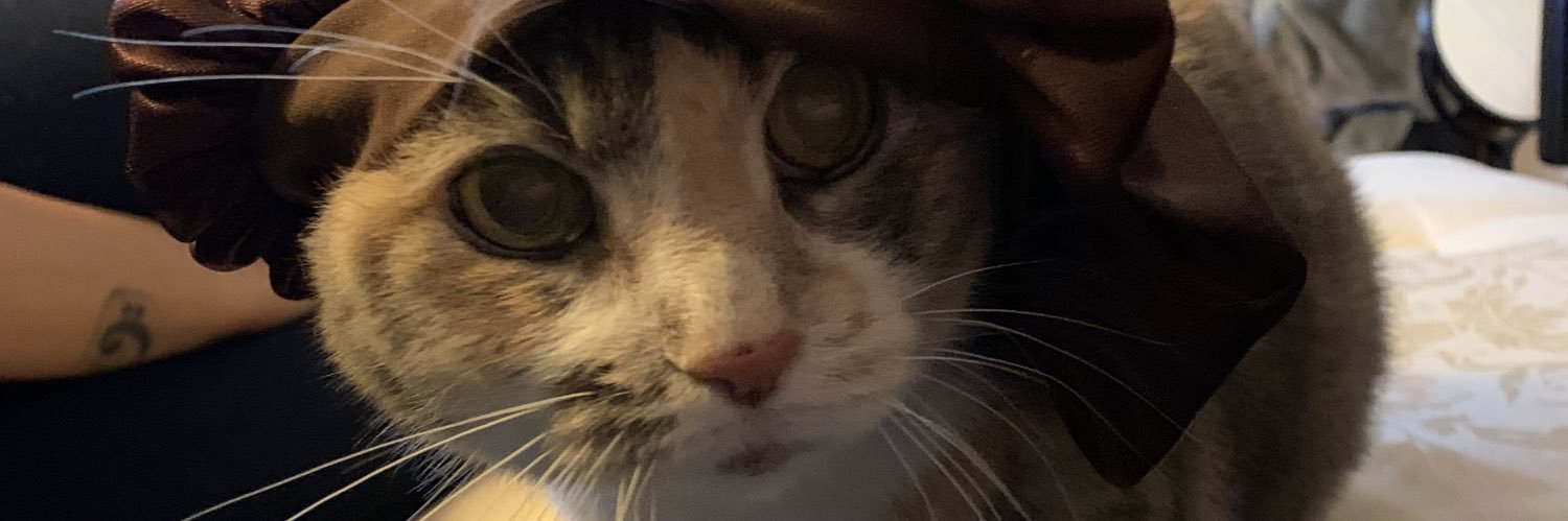 Deeelato's profile banner image