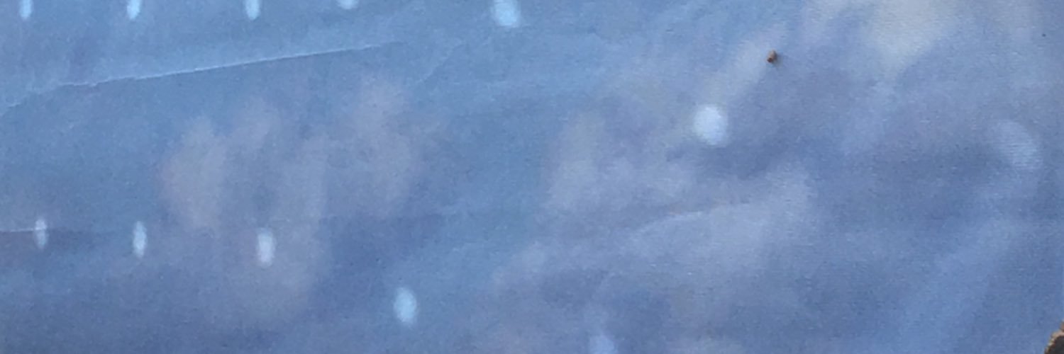 NandaDeen's profile banner image