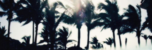 schmidtdimples's profile banner image