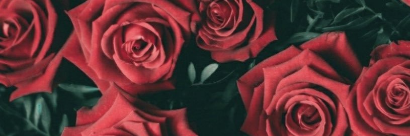ariah_smith's profile banner image