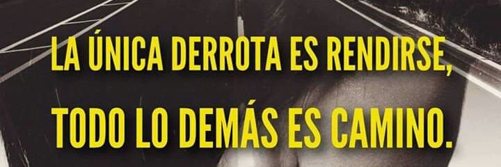 María del Carmen banner