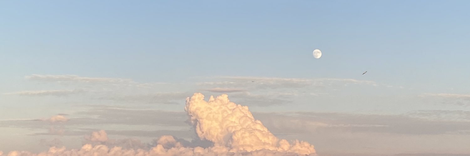 Livluv21's profile banner image