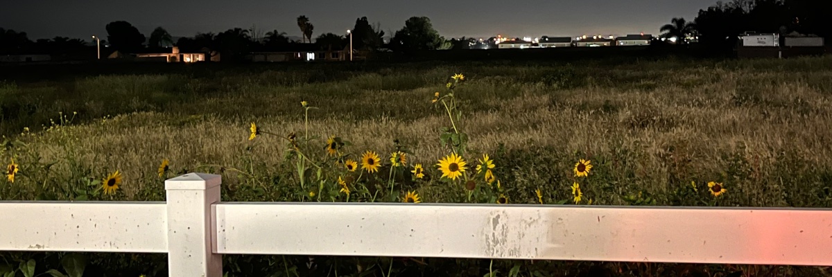 Kenken_011's profile banner image