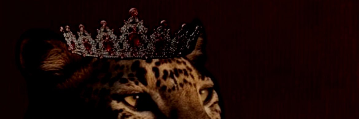senemmio's profile banner image