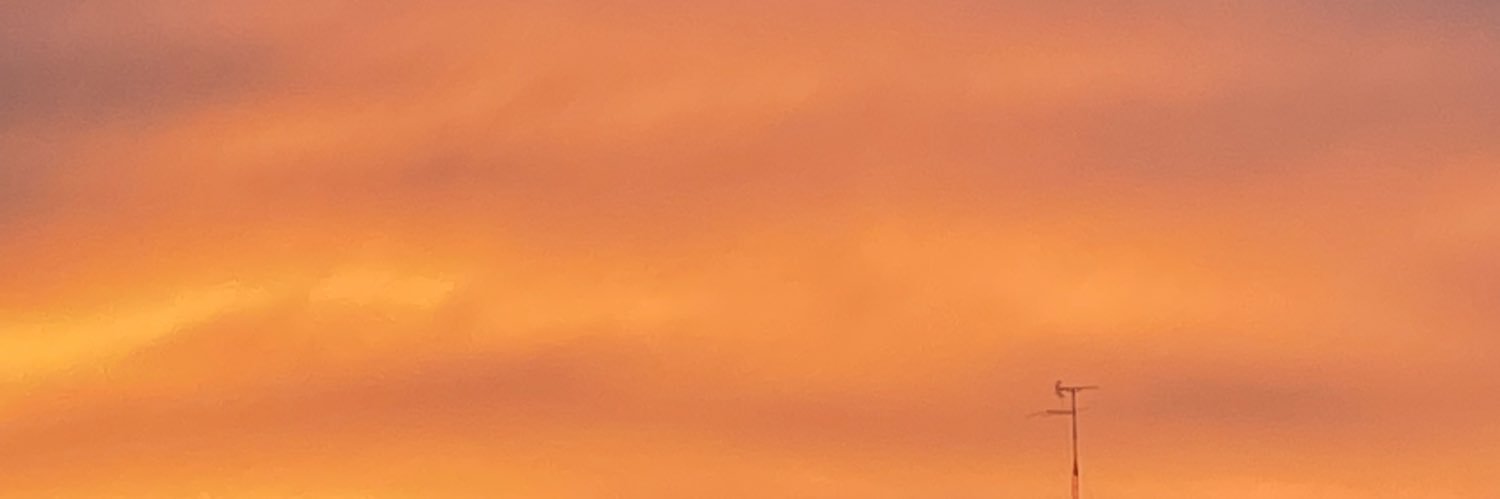 lauulledo's profile banner image