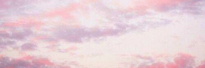 maeganstone16's profile banner image