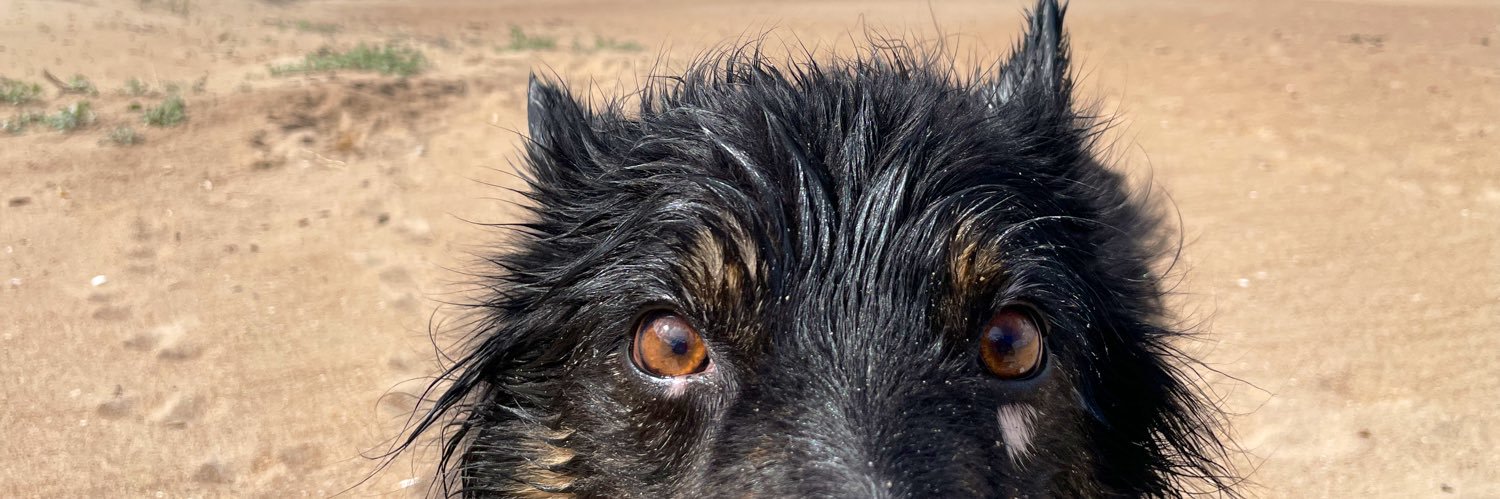 M J D 🏴󠁧󠁢󠁳󠁣󠁴󠁿 banner