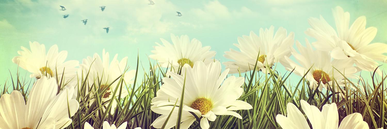 jennymacers's profile banner image