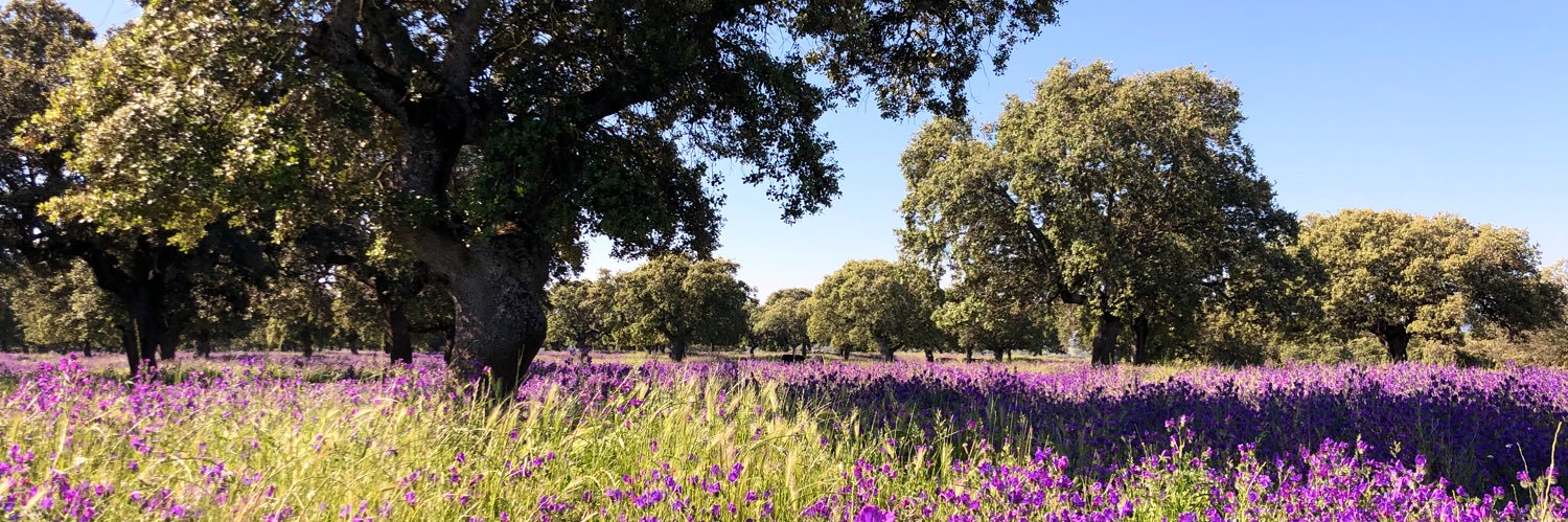 GarciaJimenez banner