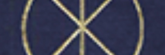 Ali_da_Maverick's profile banner image