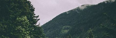 dwiscokid's profile banner image