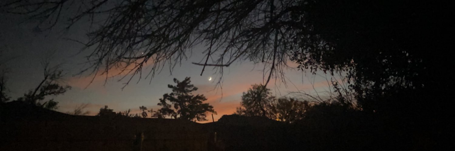 Perksofbeinivyy's profile banner image