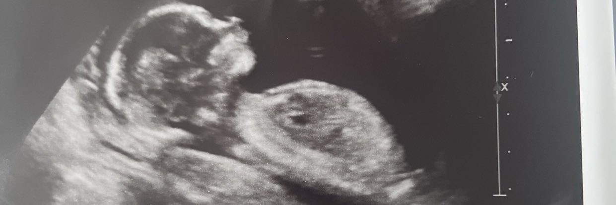 YouraverageZond's profile banner image