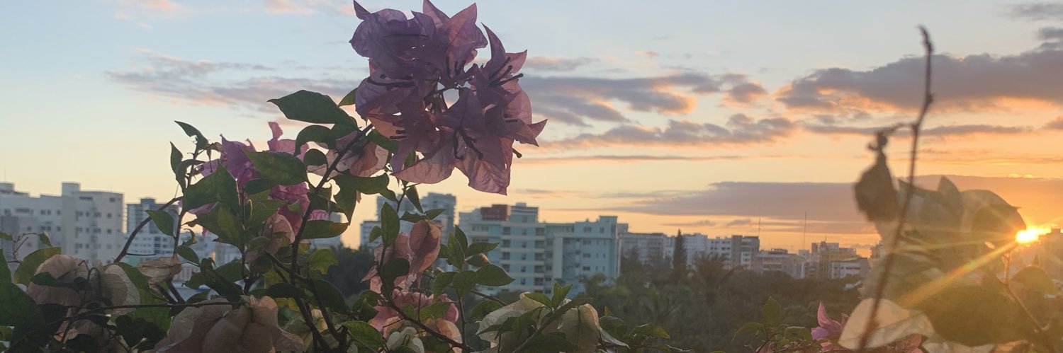 Wild_HeartND's profile banner image
