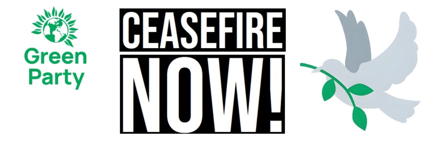 HillingdonGreenParty banner