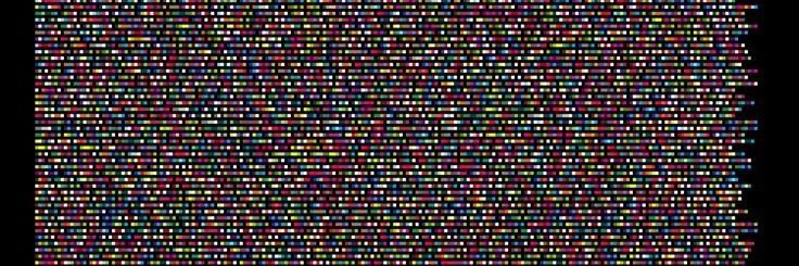prettyflygodII banner