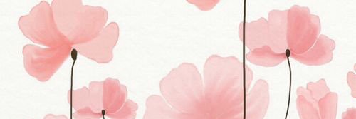 immyfaizaS's profile banner image