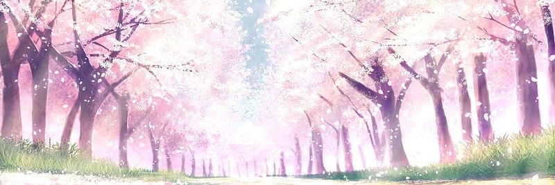 LightningTibs's profile banner image
