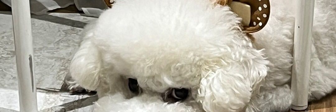 this__sa's profile banner image