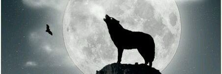 WhyTheEr's profile banner image