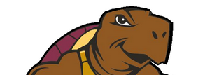 Turtle_Lake's profile banner image