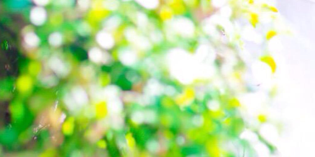 mihhorinnn's profile banner image
