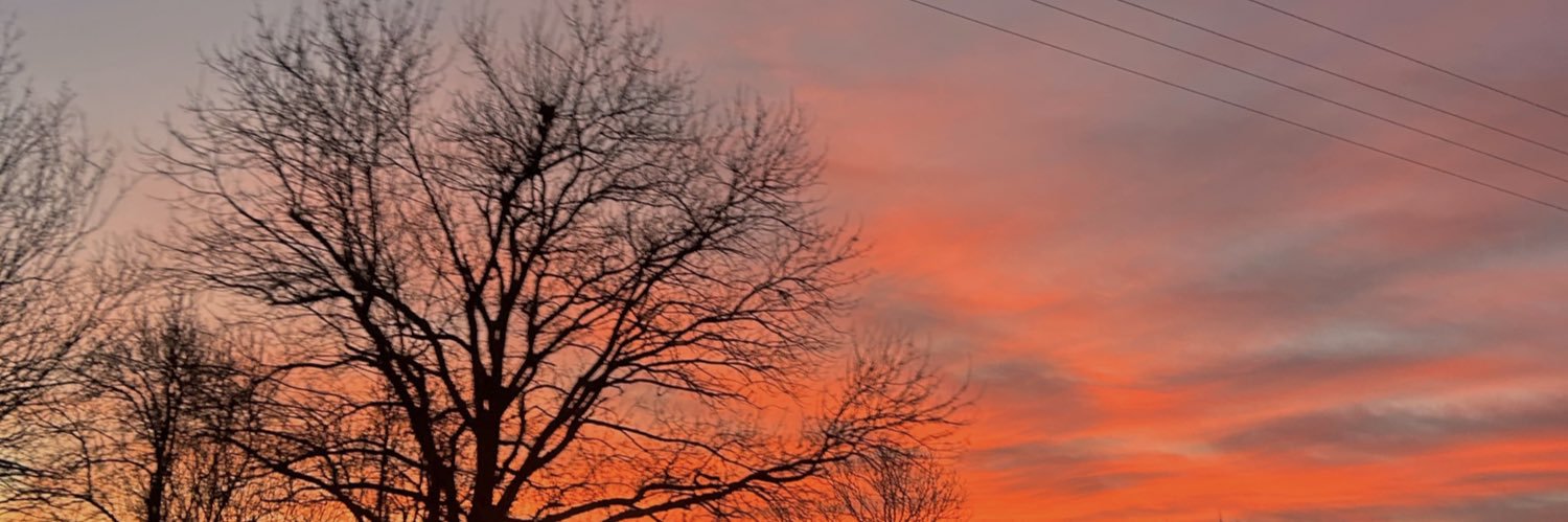 pearce_li's profile banner image