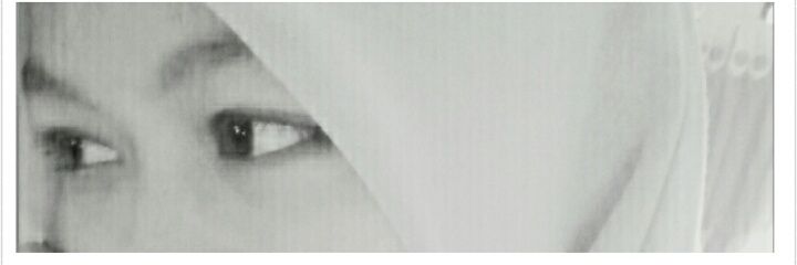 liestarita's profile banner image