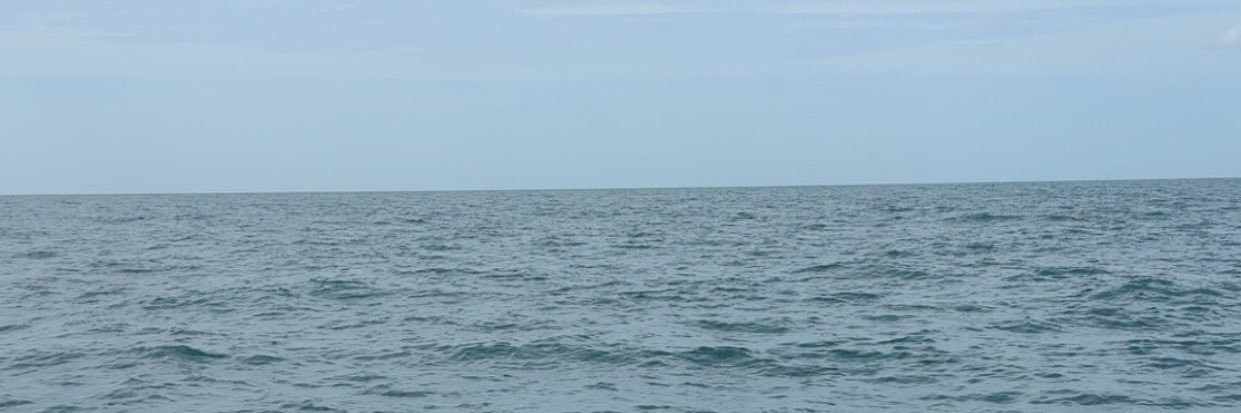mall0rypayne's profile banner image
