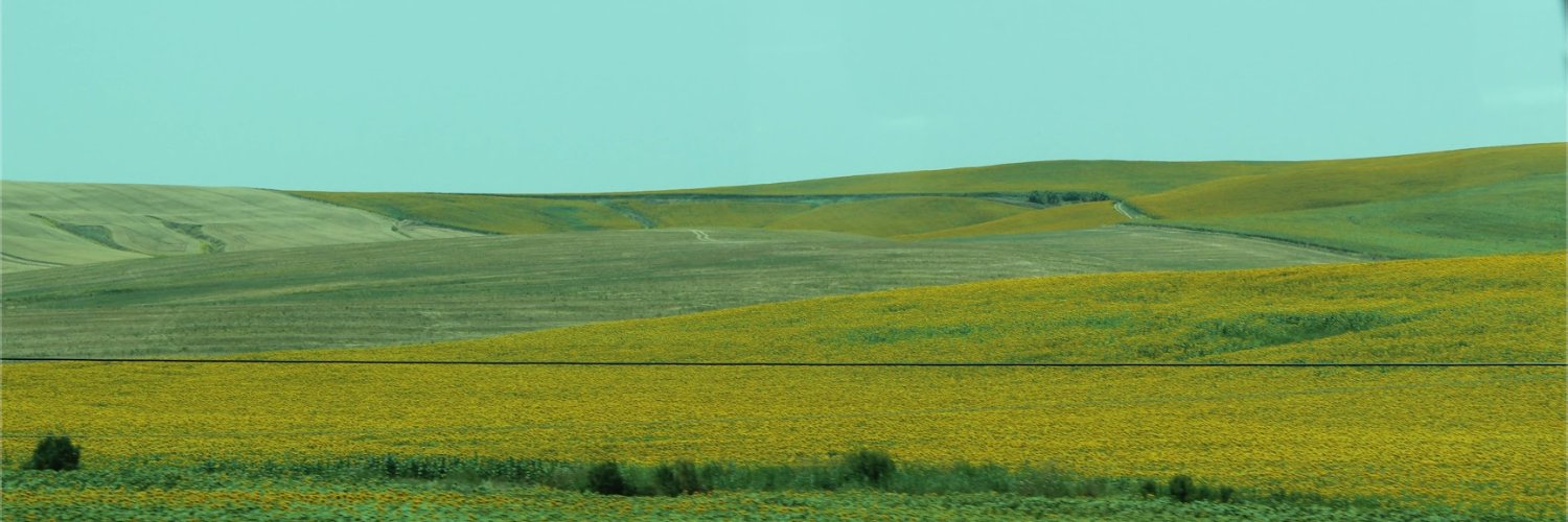 GarnerMacie's profile banner image