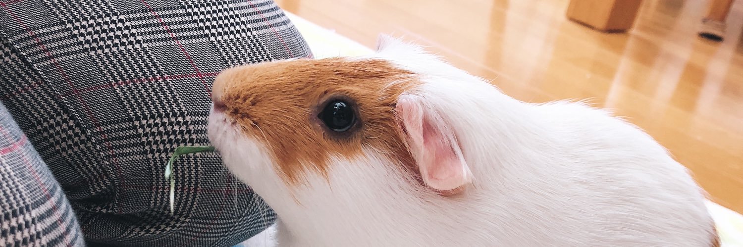 RioPiky's profile banner image