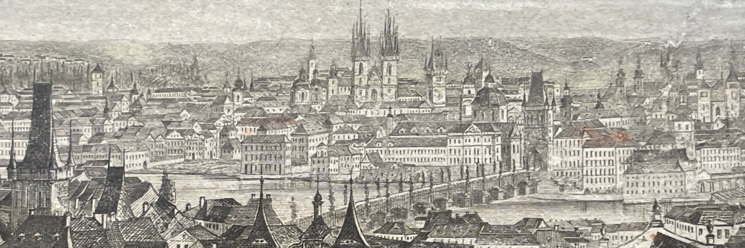 vieroslava's profile banner image