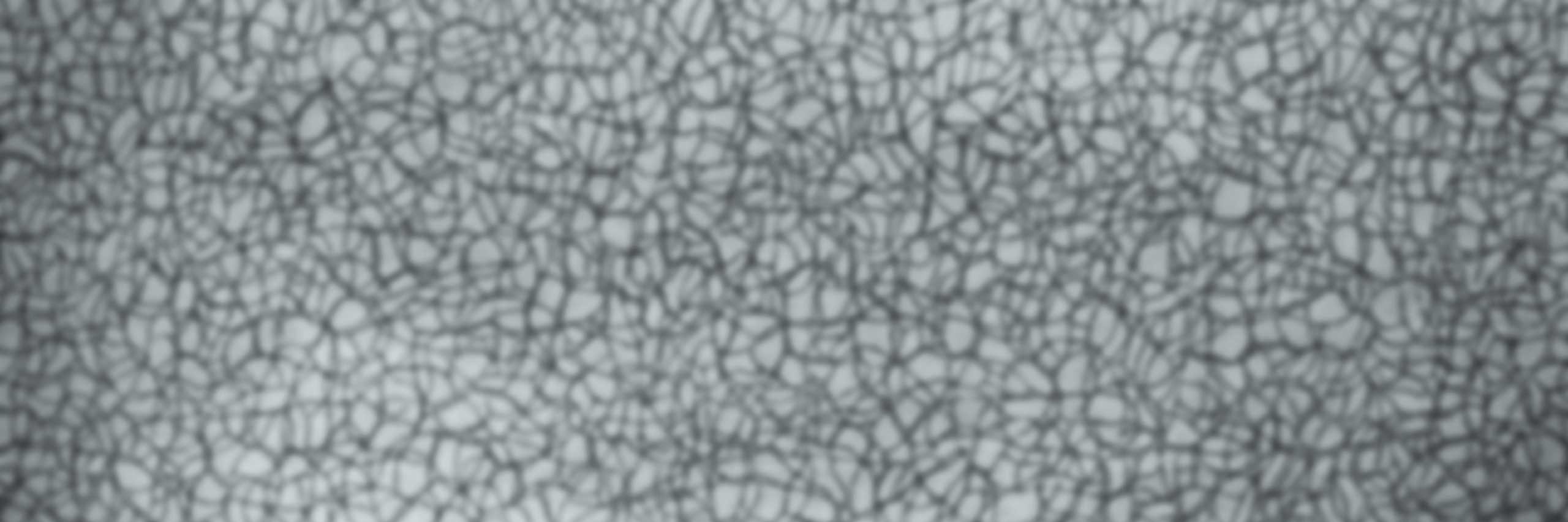 groovymonkeys's profile banner image