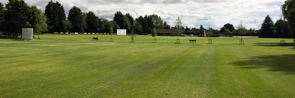 Flitwick CC 🏏🦦🦦💛💙 banner