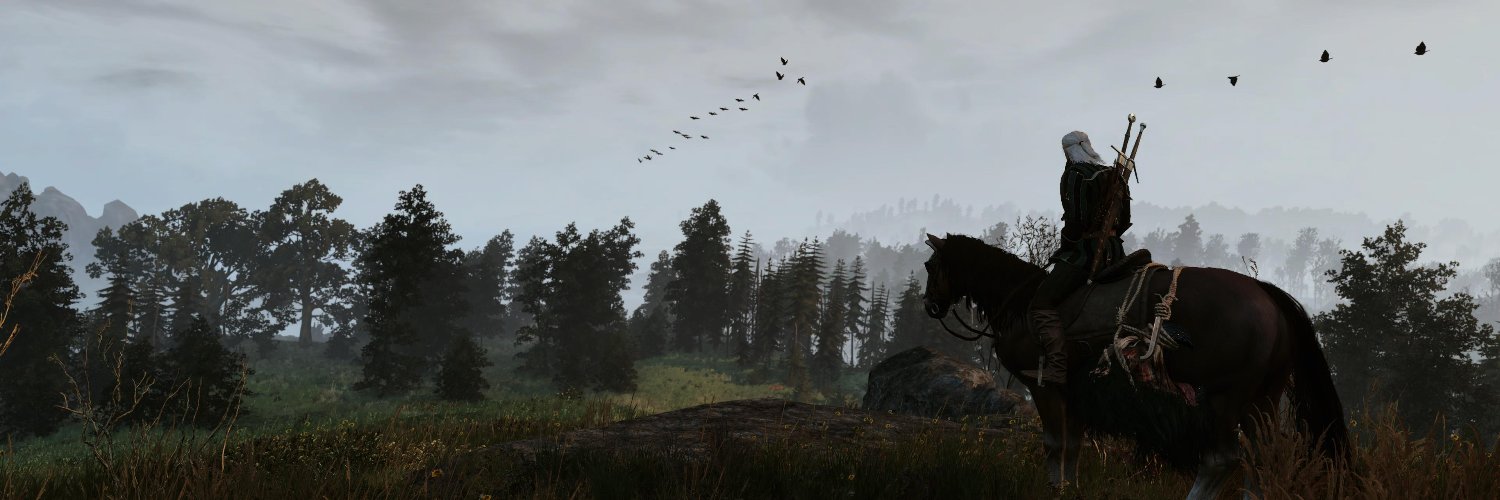 MrArgu's profile banner image