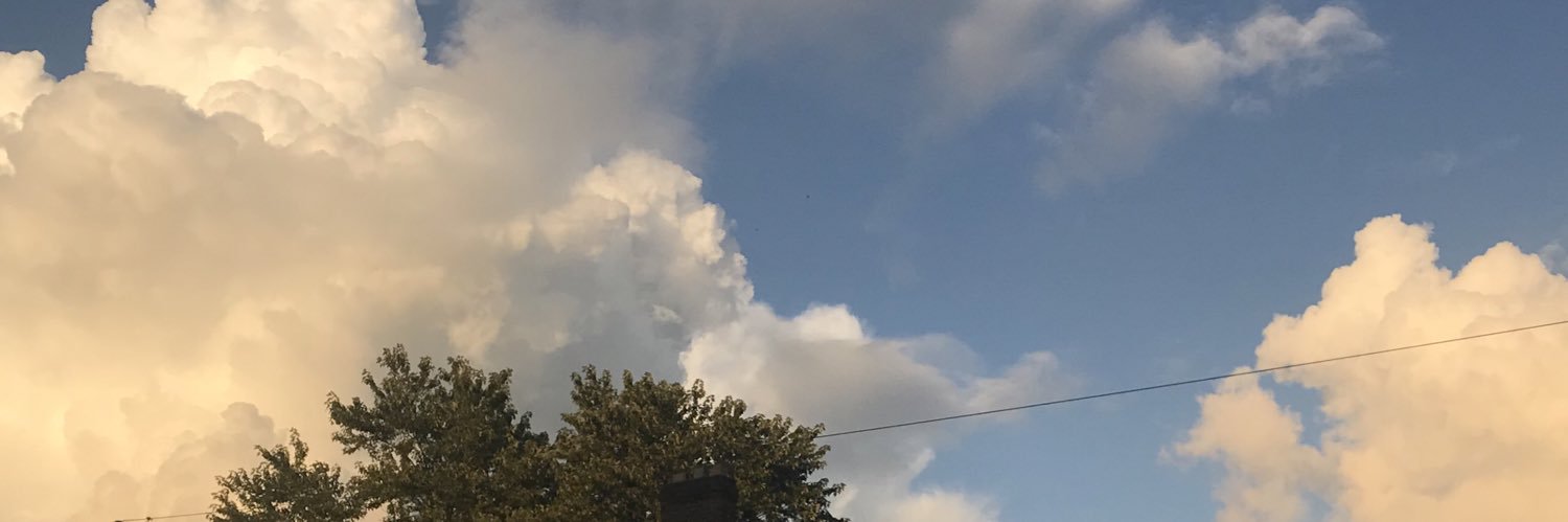 erinschaef's profile banner image