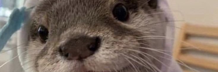 baarodriguezz's profile banner image