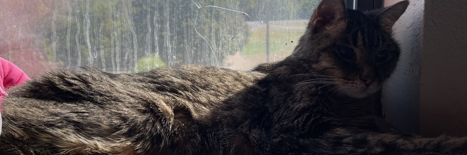 ittybittyfells's profile banner image