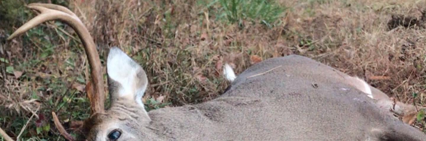 CCWhiteBoy87's profile banner image
