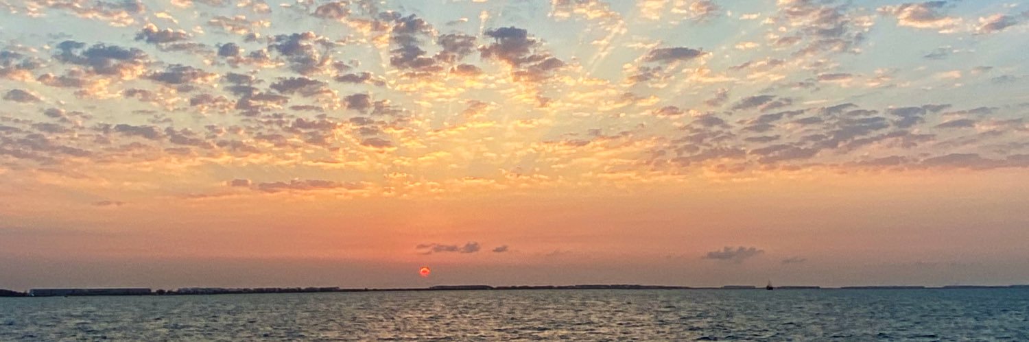 solosalmi's profile banner image