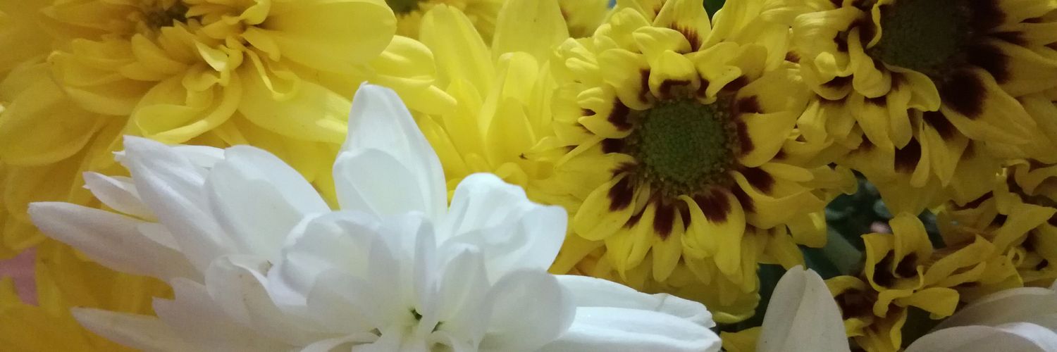 JV_Chong's profile banner image