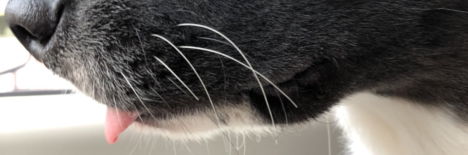 alesitatweets's profile banner image