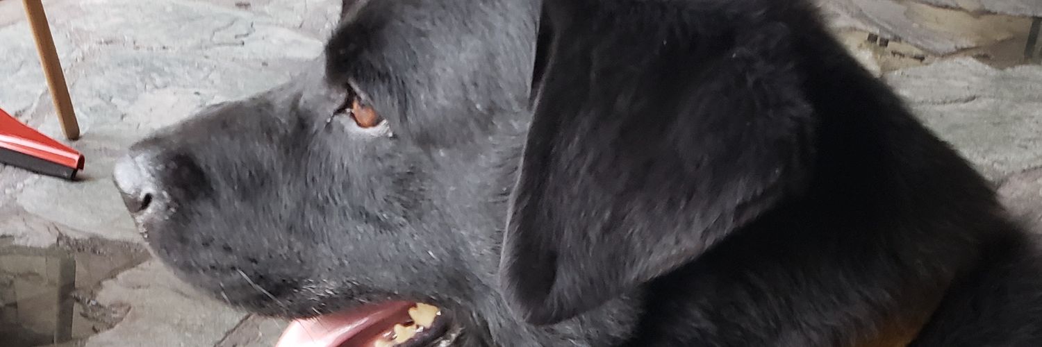 Martu_Recalde's profile banner image