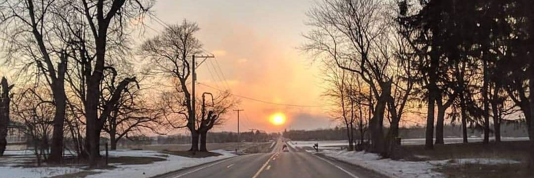 🐾🐕🐾Janet Schulte🐾🐕🐾 banner