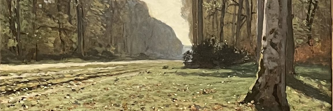 Tyann_fr's profile banner image
