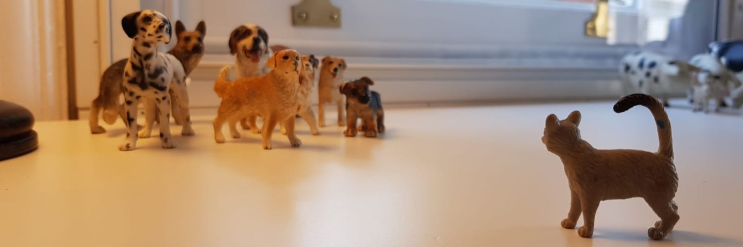 DeghiBear's profile banner image